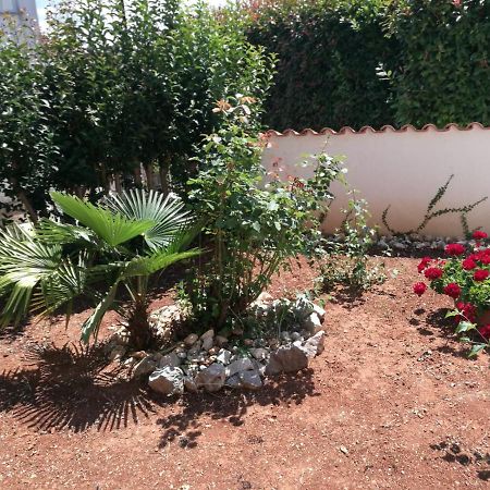 Ferienhaus Bozena Appartment 2 Vrsar Bagian luar foto