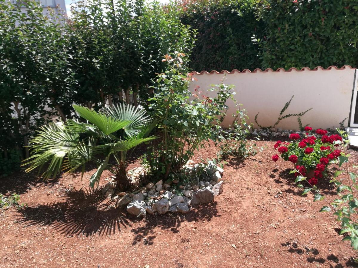 Ferienhaus Bozena Appartment 2 Vrsar Bagian luar foto
