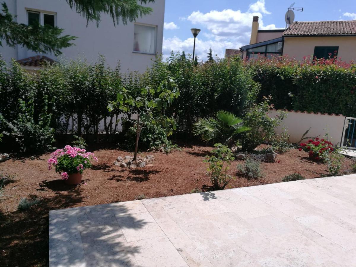 Ferienhaus Bozena Appartment 2 Vrsar Bagian luar foto