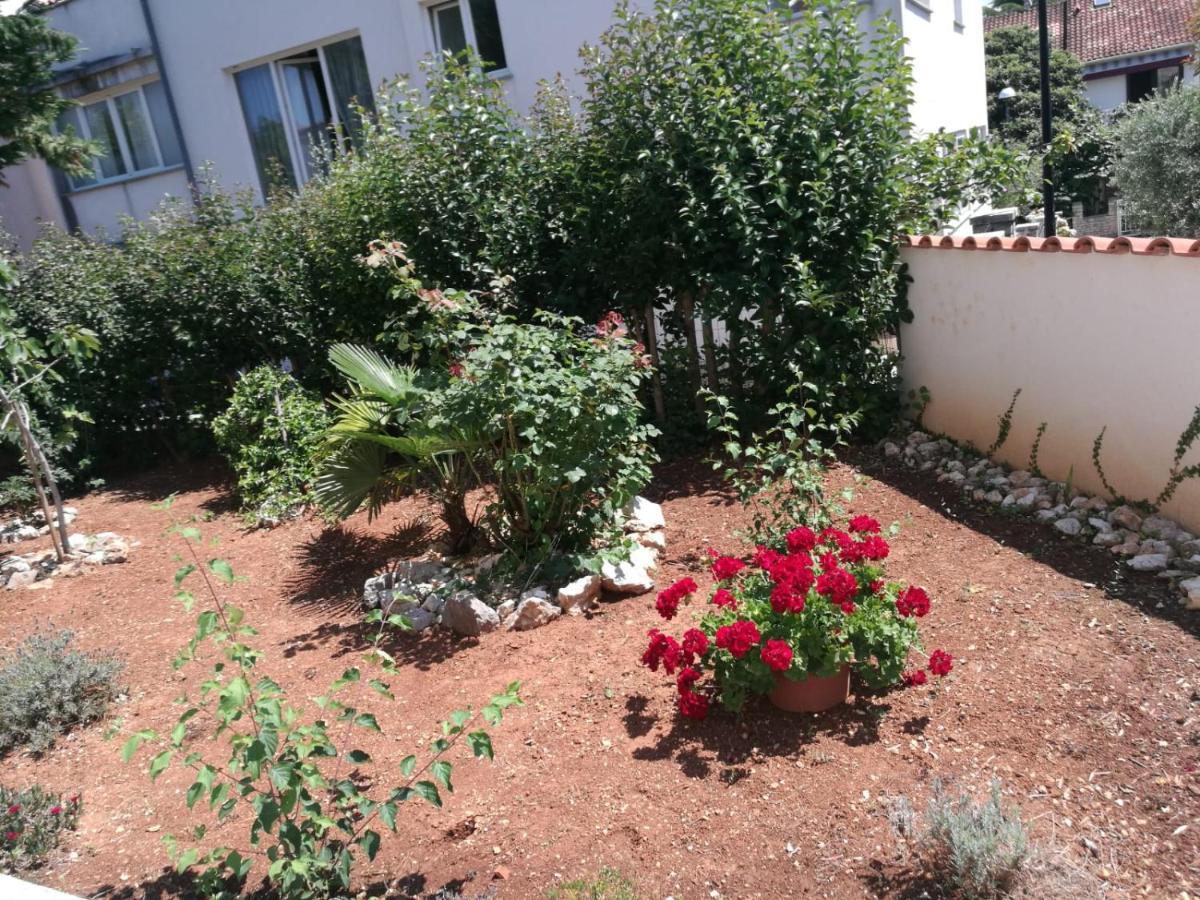 Ferienhaus Bozena Appartment 2 Vrsar Bagian luar foto
